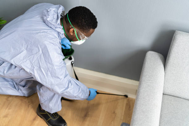 Reliable Smyrna, DE Pest control Solutions